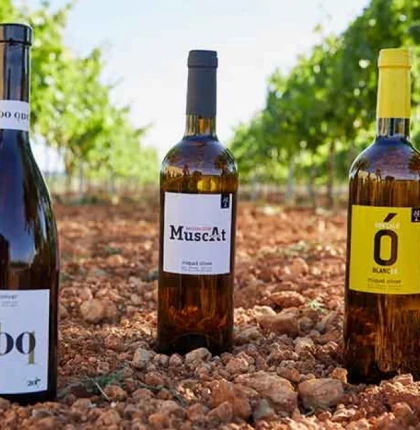 Guided tour, tasting of 5 wines and tasting of Mallorcan products