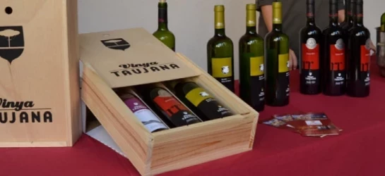 Cata de 3 vinos en Vinya Taujana