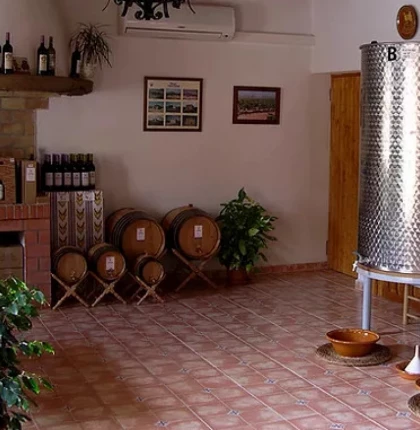 Cata de 3 vinos y canapés en Vinya Taujana