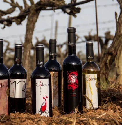 Cata de 5 vins ecològics i picada de productes gourmet