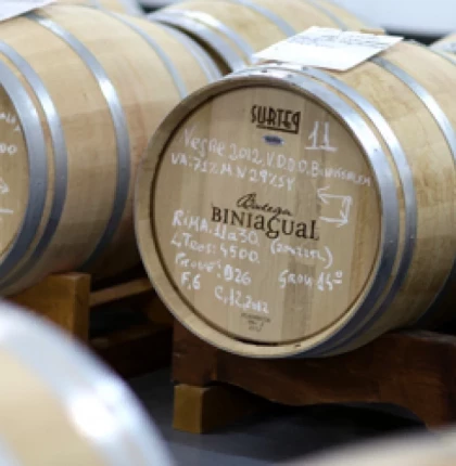 Visita a la Bodega Biniagual y cata de vinos con picada en Vinoteca Biniagual