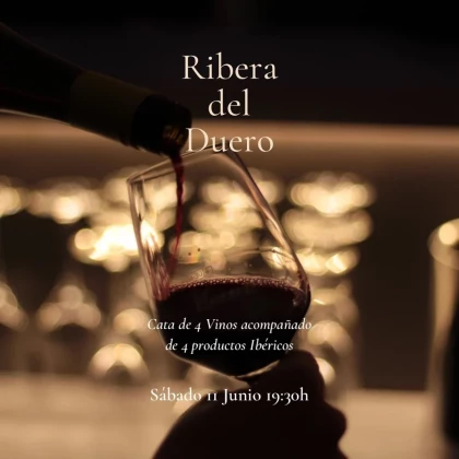 Cata de 4 vinos de Ribera del Duero acompañados de productos ibéricos en Winemercat