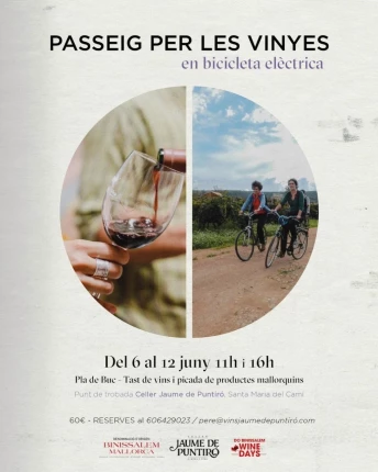 Paseo por los viñedos de Jaume de Puntiró en bici eléctrica