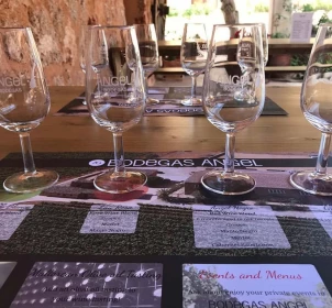 Guided visit to the AnGel winery and tasting of 4 wines